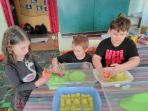 IMG_20200226_141829-scaled