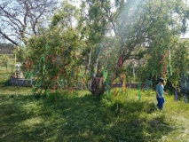 1_img_20240430_104408