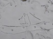 1675174898249-Kopirovat