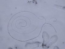 1675174958906-Kopirovat