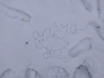 1675175009705-Kopirovat