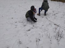 1675175009739-Kopirovat