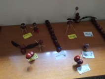 1731967114188-Kopirovat