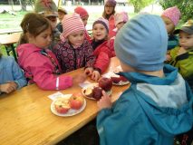 IMG_20191002_091554-kopie-scaled