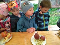 IMG_20191002_091646-kopie-1-scaled