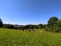 1698528973221-Kopirovat