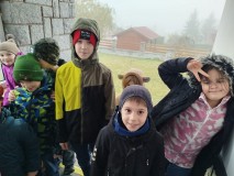 IMG_20251106_1035231-Kopirovat