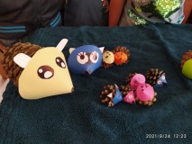 1637076996990-Kopírovat