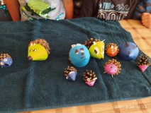 1637076997017-Kopírovat