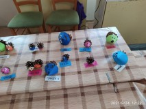 1637076997030-Kopírovat