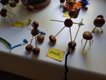 1698528533740-Kopirovat