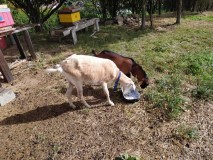 IMG-20231006-WA0017-Kopirovat