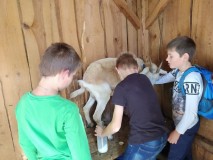 IMG-20231006-WA0020-Kopirovat