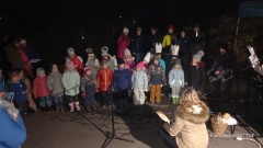 1733180733185-Kopirovat