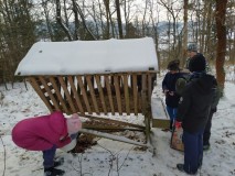 1705267182373-Kopirovat