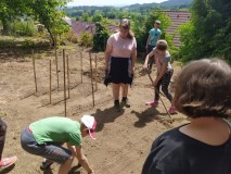 1686346994202-Kopirovat