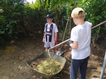 1686346994218-Kopirovat