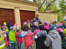 1682533987681-Kopirovat