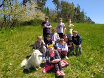 1684128887252-Kopirovat