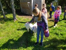 1670788928131-Kopirovat