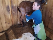 1670788928157-Kopirovat