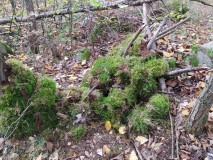 1670789195967-Kopirovat