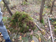 1670789195990-Kopirovat