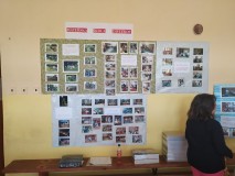 1684260128334-Kopirovat