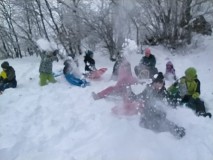 1702041351312-Kopirovat