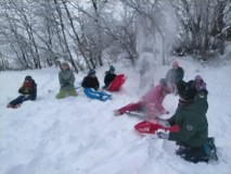 1702041351336-Kopirovat