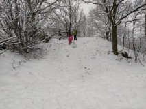 1702041675654-Kopirovat