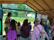 IMG_20250618_091126-Kopirovat